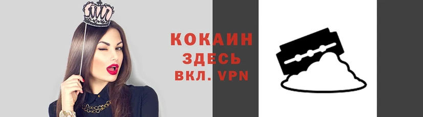 прущая мука Вяземский