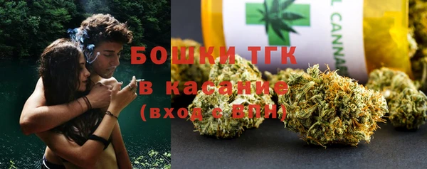 прущая мука Вяземский
